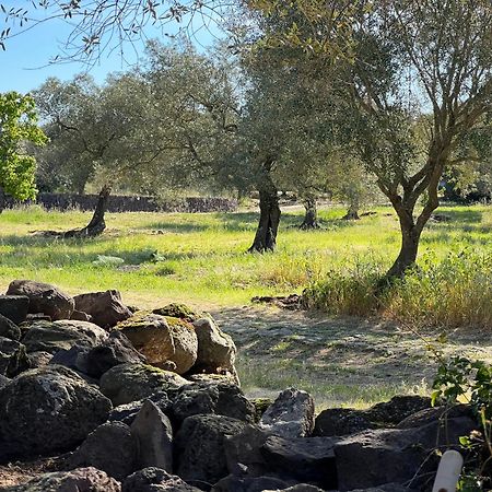 Muristene Pozzo Santa Cristina Paulilatino Dış mekan fotoğraf