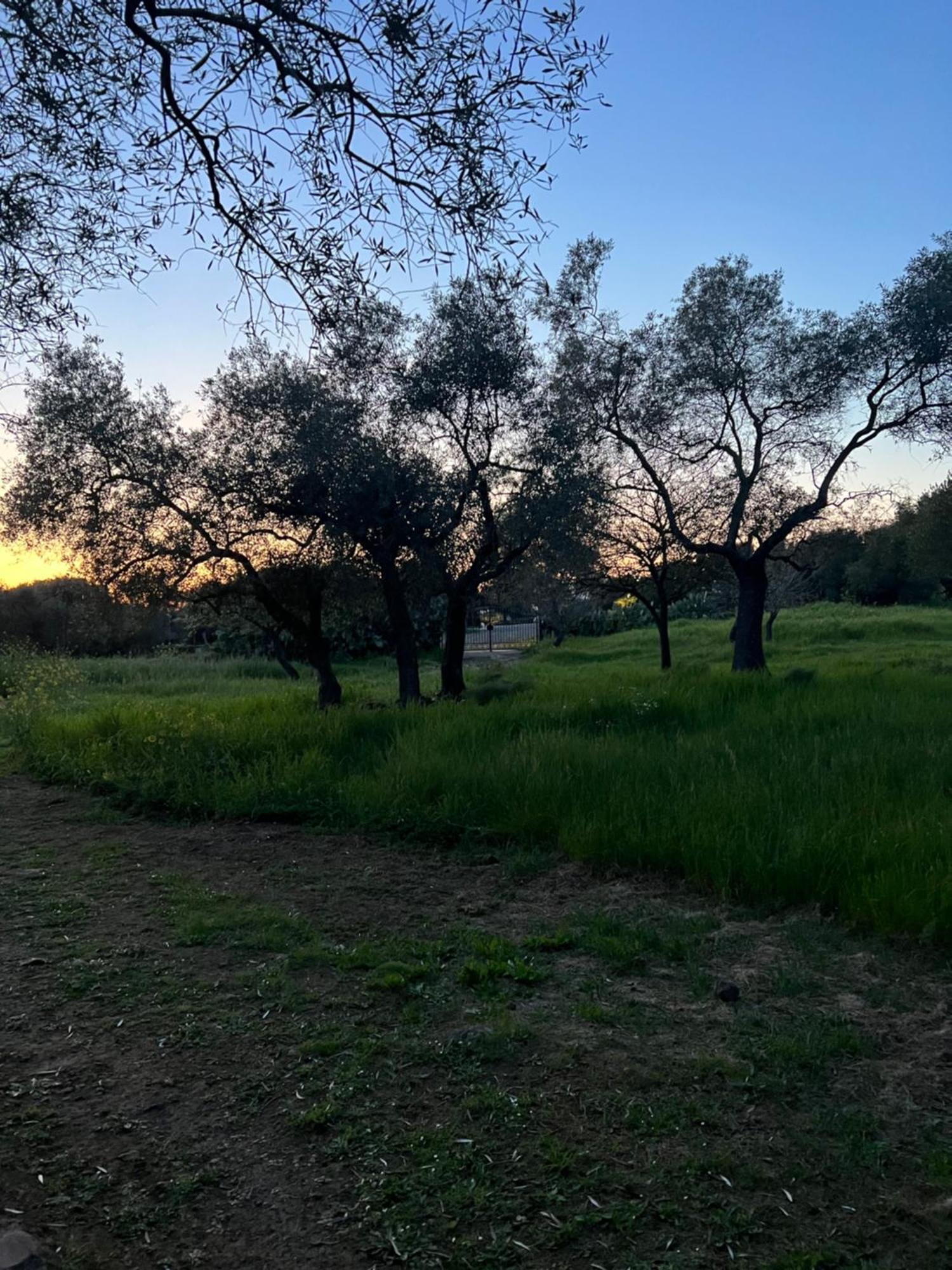 Muristene Pozzo Santa Cristina Paulilatino Dış mekan fotoğraf