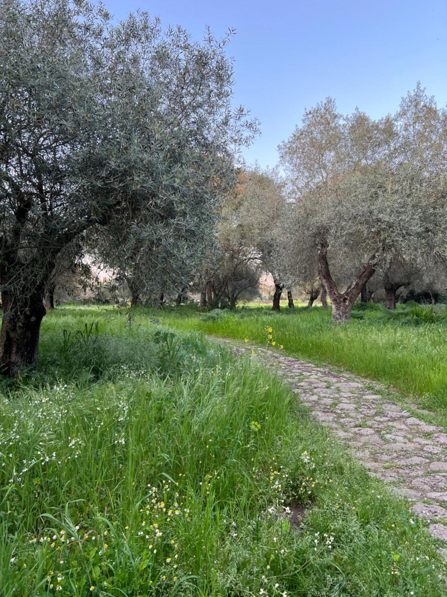Muristene Pozzo Santa Cristina Paulilatino Dış mekan fotoğraf