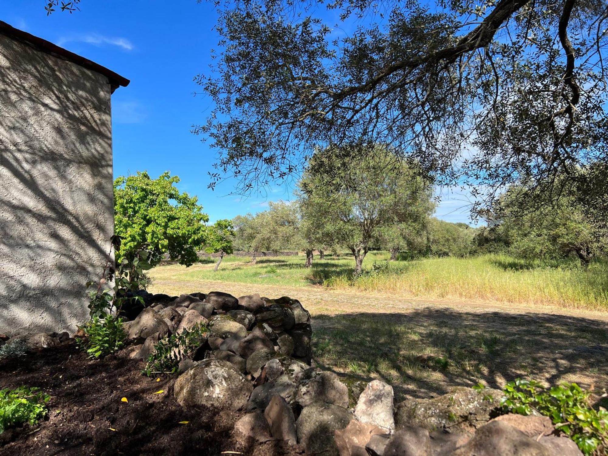 Muristene Pozzo Santa Cristina Paulilatino Dış mekan fotoğraf